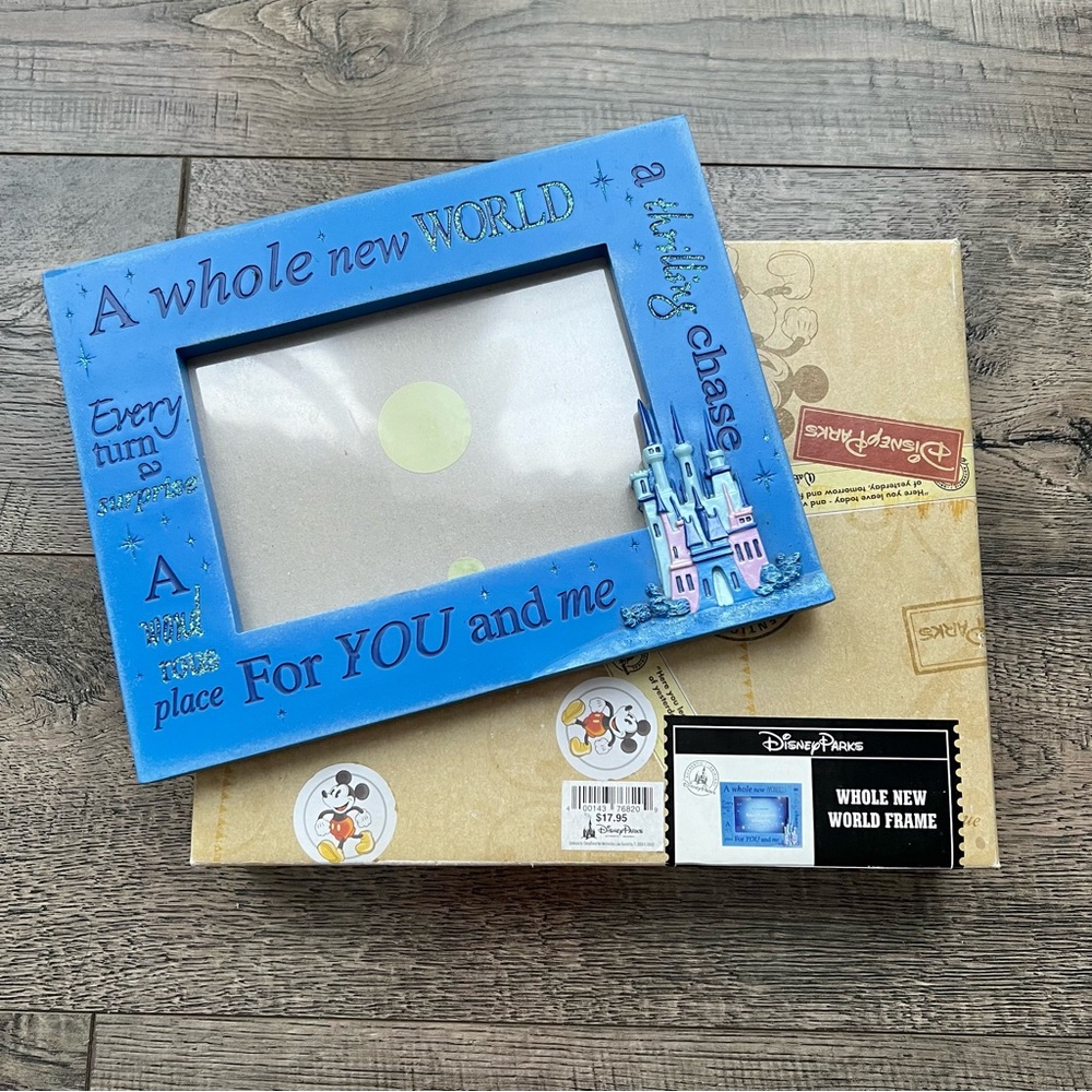 Disney - Aladdin 4x6 picture frame